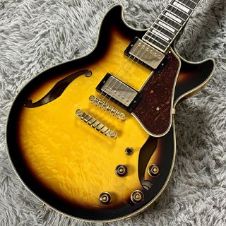 Ibanez AM93QM 【現物画像】