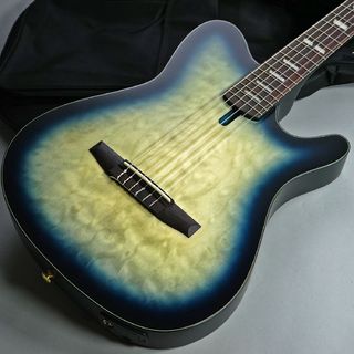 エレガットギター エレガットギターの検索結果【楽器検索デジマート】
