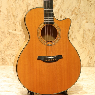 Furch Guitars G23SF CT 