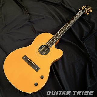 GibsonChet Atkins SST
