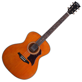 Bromo Guitars ブロモギターズ BAN2V アコースティックギター