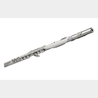 Roland 【ご予約受付中】Aerophone Brisa AE-BRISA