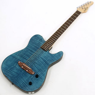 アコースティックギター／エレクトリック・アコースティックギター