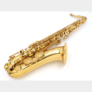 サックス／サクソフォン／サキソフォン ＞ テナー・サックスの検索結果
