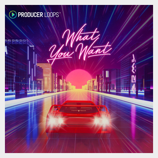 PRODUCER LOOPSWHAT YOU WANT