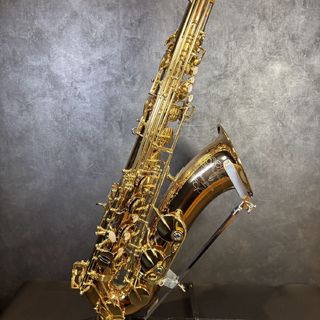 YANAGISAWA T-WO20