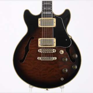 エレクトリックギター ＞ セミアコ、Ibanezの検索結果【楽器検索