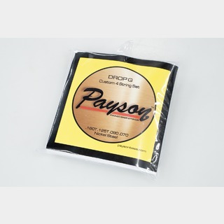 payson stringsPayson Fanned Drop G NS 4 String Set【GIB横浜】
