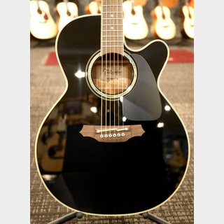 Takamine FPT561C BL #61120105【実物写真】【分割手数料0%】【送料当社負担】