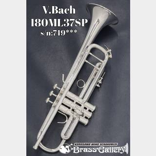 Bach Stradivarius トランペット 180ML37SPの検索結果【楽器検索