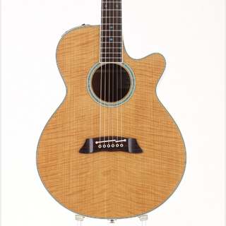 エレクトリック・アコースティックギター、Takamineの検索結果【楽器