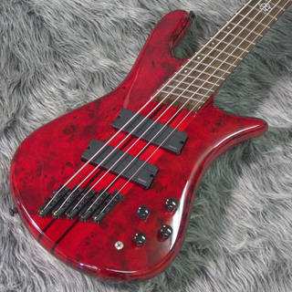 Spector NS Dimension 5 Inferno Red Gloss #232268【☆★2024・GW先取セール開催中★☆～4.29(月)】