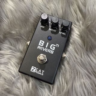 ZCAT Pedals Big Reverb TI