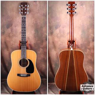 Martin 1976年製 D-76 "Bicentennial Commemorative Limited Edition"