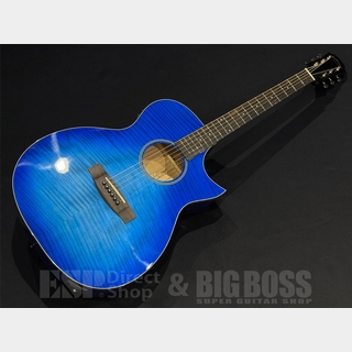アコースティックギター ARIA amb-45