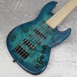 MARUSZCZYK INSTRUMENTSElwood L5a-21 5st Eye Poplar Top  2 Tone Turquoise-Blue Gloss【新宿店】