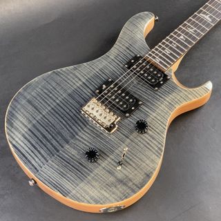 Paul Reed Smith(PRS) SE CUSTOM 24 / Charcoal Natural