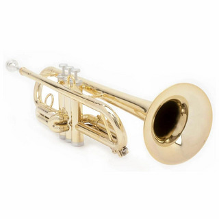 pInstruments PTRUMPET1HTG/GOLD 【在庫限りの大特価!】【送料無料!】