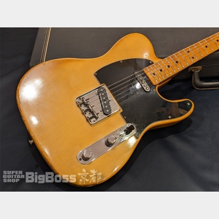 Fender1977 Telecaster /  Butter Scotch 