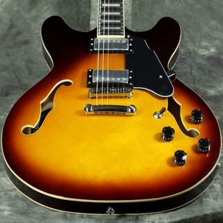 エレクトリックギター > セミアコの検索結果【楽器検索デジマート】
