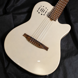 アコースティックギター／エレクトリック・アコースティックギター