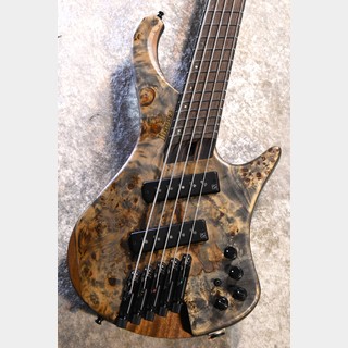 エレクトリック・ベース、ヘッドレス OR steinbergerの検索結果【楽器