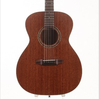 アコースティックギター／エレクトリック・アコースティックギター