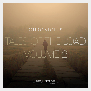 EVOLUTION SERIES CHRONICLES TALES OF THE ROAD VOL 2