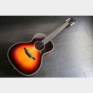 アコースティックギター／エレクトリック・アコースティックギター、VG