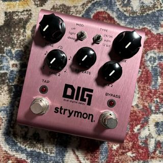 strymon DIG