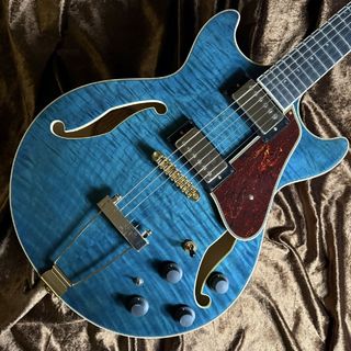 Ibanez 《現物画像 / 迅速発送！》AMH90QM TBL フルアコギター