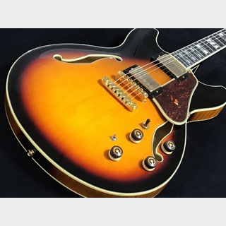 エレクトリックギター ＞ セミアコ、Ibanezの検索結果【楽器検索