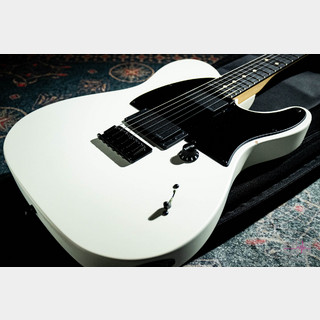 エレキギター、emgの検索結果【楽器検索デジマート】