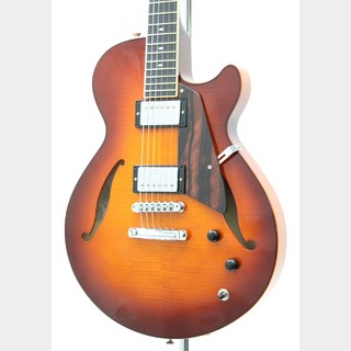 Sadowsky Semi Hollow Model / Sienna Burst