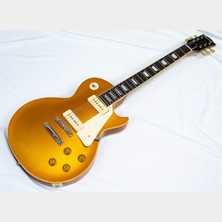 EDWARDS  E-LP-STD/P Gold Top 