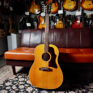 アコースティックギター J-50 パロディ ブラック Gibson J-50 | 楽器詳細ページ [Blue-G]