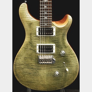 Paul Reed Smith(PRS) SE Custom 24 -Trampas Green-【CTI G009040】【3.45kg】