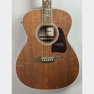 エレキギター アフリカンマホガニー アコースティックギター、アフリカンマホガニー OR AfricanMahoganyの