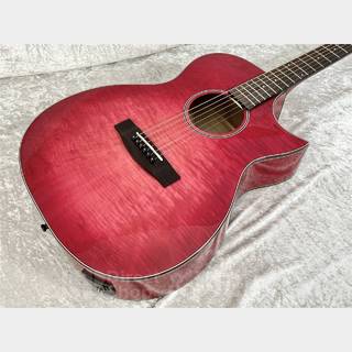 Aria Dreadnoughtの検索結果【楽器検索デジマート】