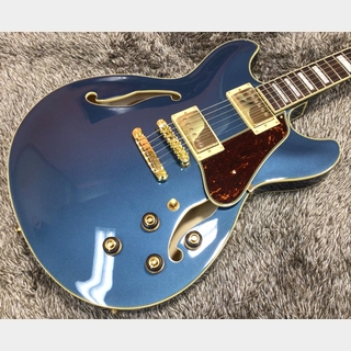 エレクトリックギター ＞ セミアコ、Ibanezの検索結果【楽器検索