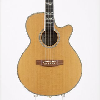 Takamine 100 Series Custom【新宿店】