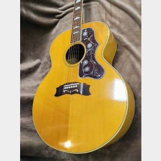 アコースティックギター／エレクトリック・アコースティック