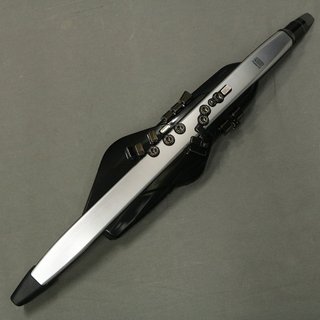 Roland エアロフォン AE-30 【御茶ノ水本店】