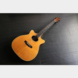 アコースティックギターの検索結果【楽器検索デジマート】
