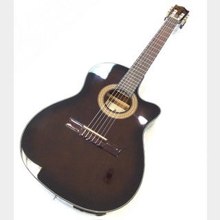 Ibanez エレアコギター　AEC24Ⅱ ソフトケース付美品1948-06-1 Ibanez / アイバニーズ アコースティックギター | 島村楽器