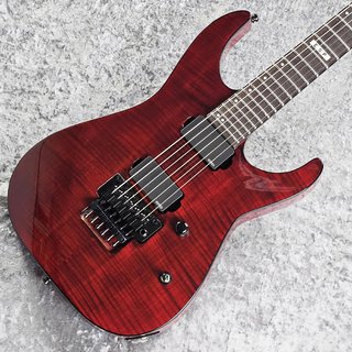 E-II エレキギター EMG セットスルーネック　ほぼ新品 EVO 0202Z-II H-Silver LTD ｜イケベ楽器店オンラインストア