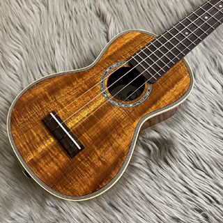 Anasounds Feed Meの検索結果【楽器検索デジマート】