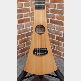 アコースティックギター／エレクトリック・アコースティック