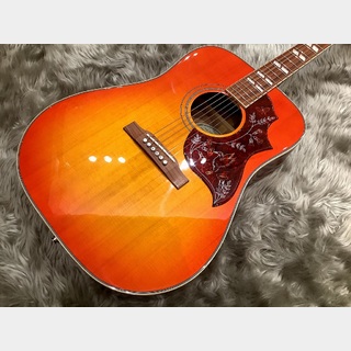 Epiphone Hummingbird PRO