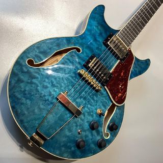 Ibanez 【現物画像】AMH90QM TBL フルアコギター